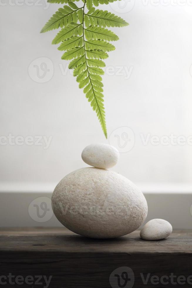 Green plant on top of three pebble white stone. photo
