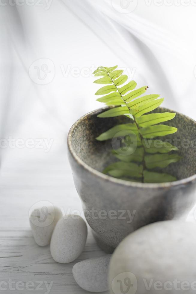 Green plant in a pot surrounded stones photo