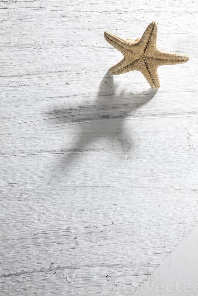 estrella de mar fósil sobre una superficie de madera blanca. foto