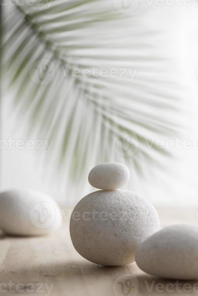 White stone on wooden surface with blurred plant background. photo