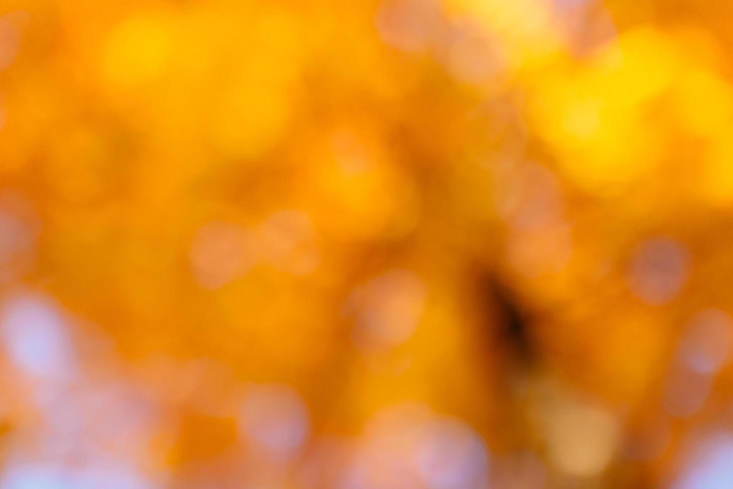 Beautiful out of focus background of a park in Autumn photo