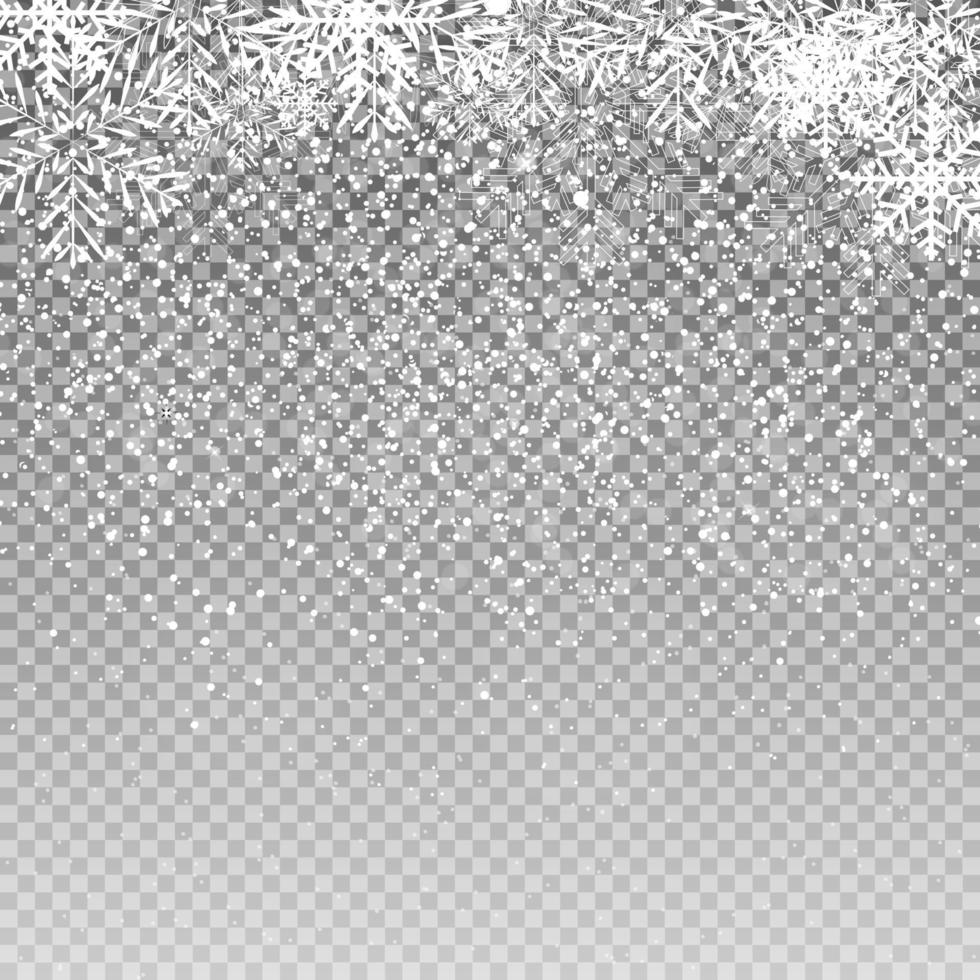 Falling Shining Snowflakes vector