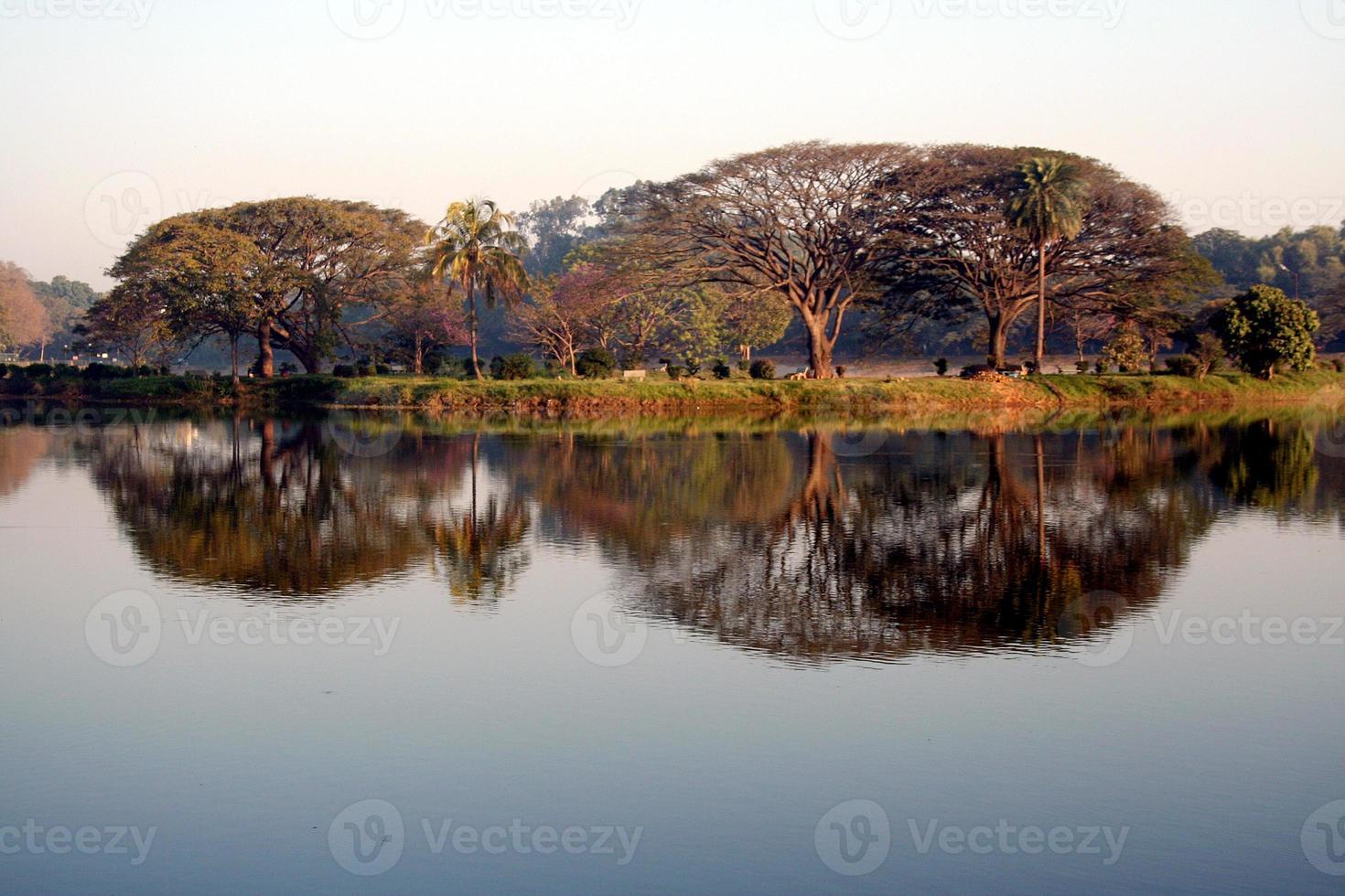 reflejo en la luz de la mañana foto