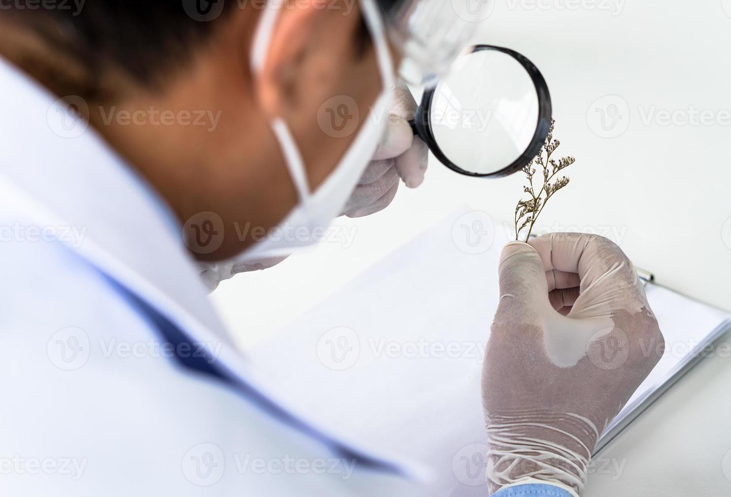 Scientist doing an experiment photo
