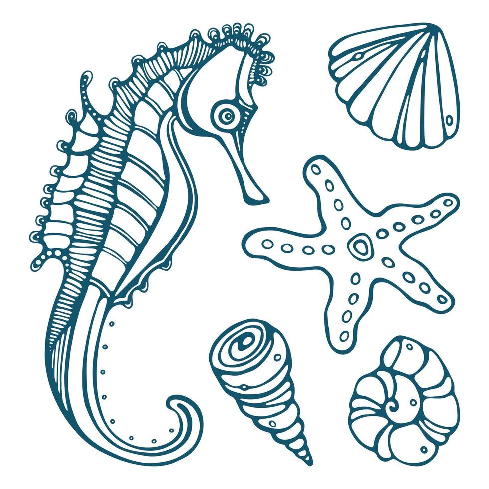 Ilustración de contorno de doodle de vector de caballito de mar, estrella de mar y conchas marinas