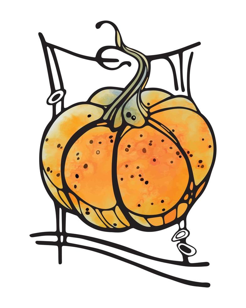 Watercolor Pumpkin with black outline Hand Drawn Vector Illustration