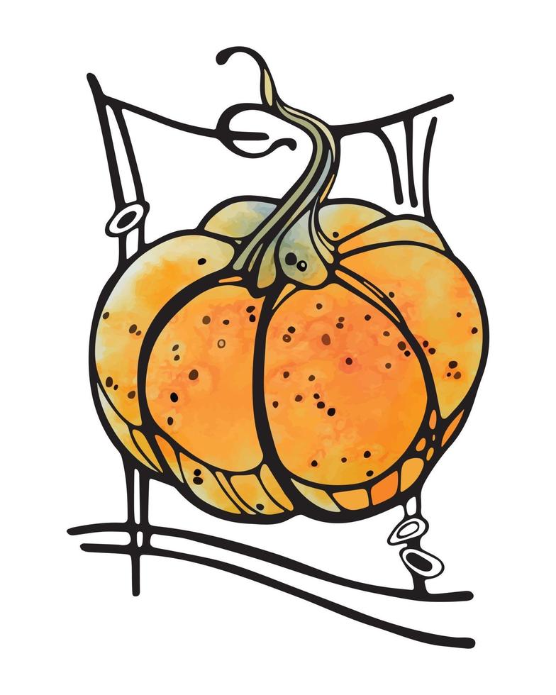 Calabaza de acuarela con contorno negro dibujado a mano ilustración vectorial vector