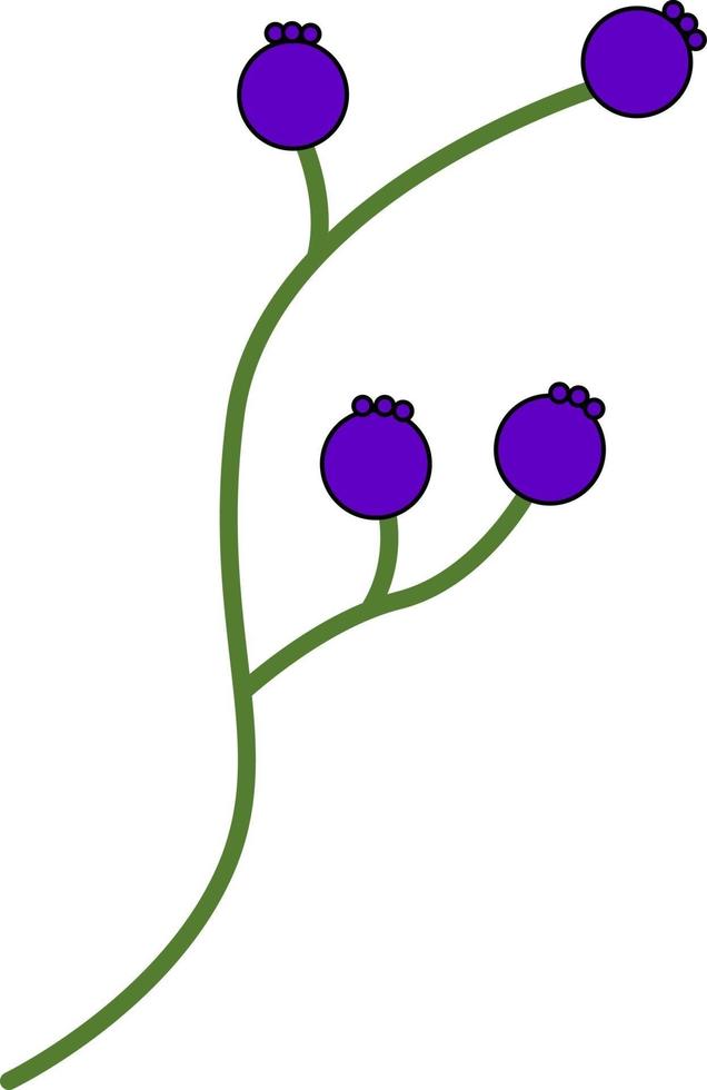 Branch with blue berries vector
