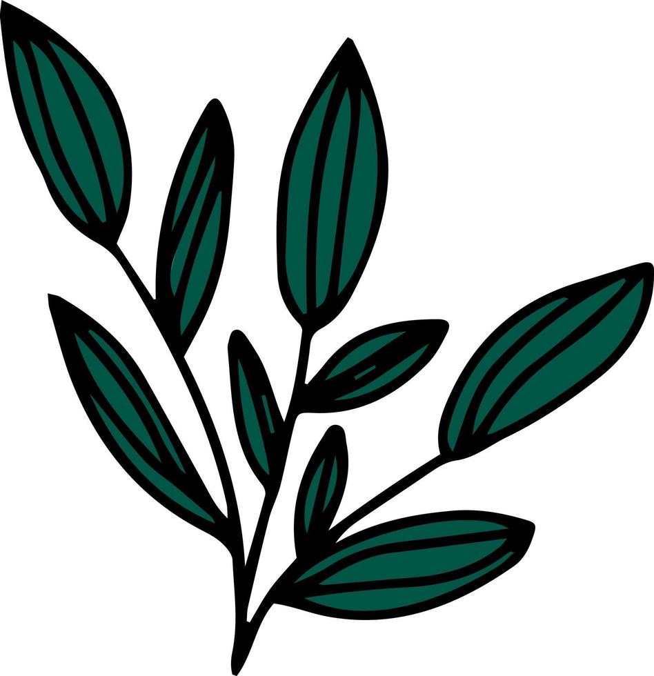 Doodle branch with big leaves vector