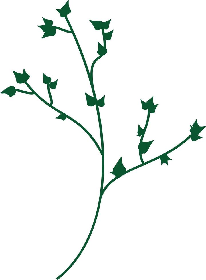 Green branch with sharp leaves vector
