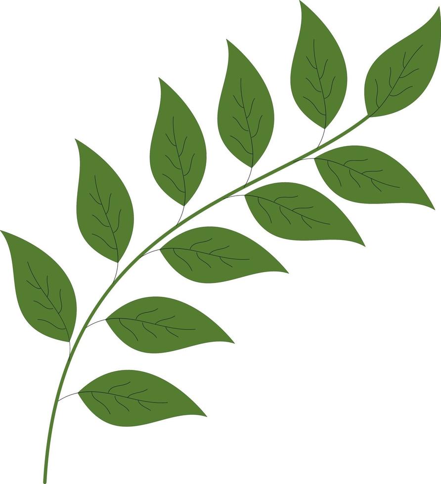 Green branch with simple leaves vector