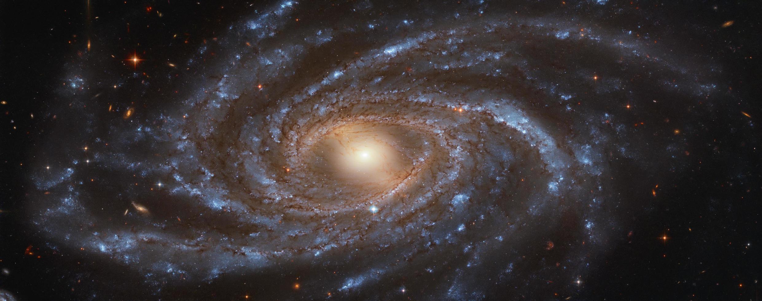 la galaxia ngc 2336 capturada por el telescopio espacial hubble foto
