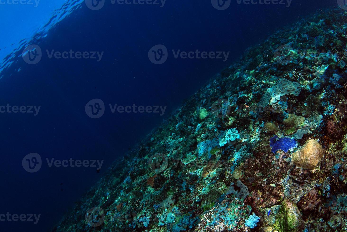 Clear blue sea. Underwater background photo