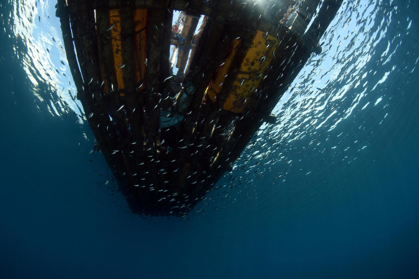 Underwater background, Bali sea, Indonesia photo