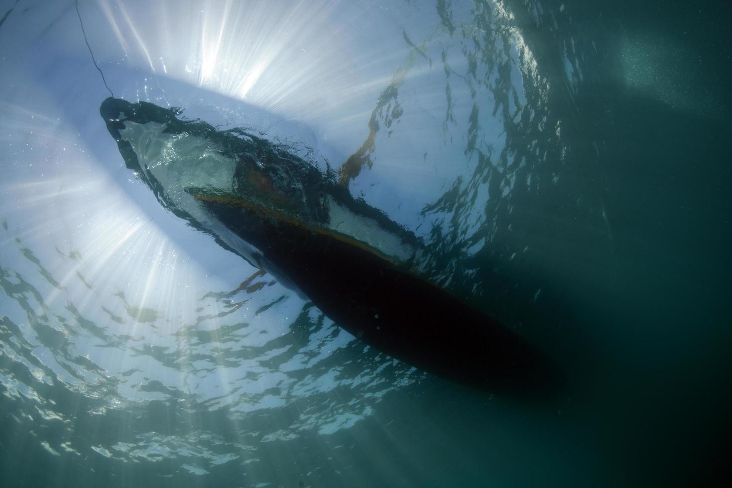 fondo submarino, mar de bali, indonesia foto