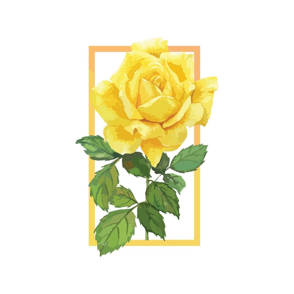 A Frame of Yellow Rose Watercolor vector