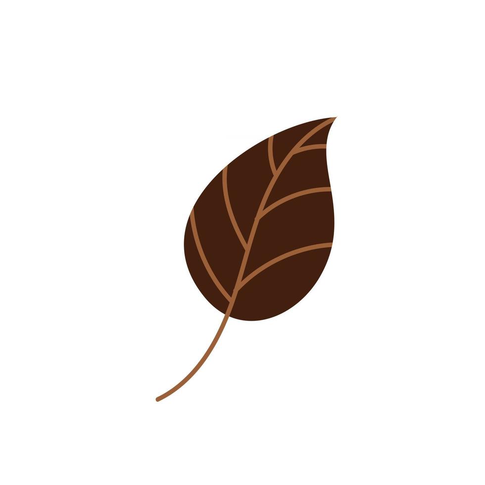 Brown fallen autumn leaf . Vector illustration