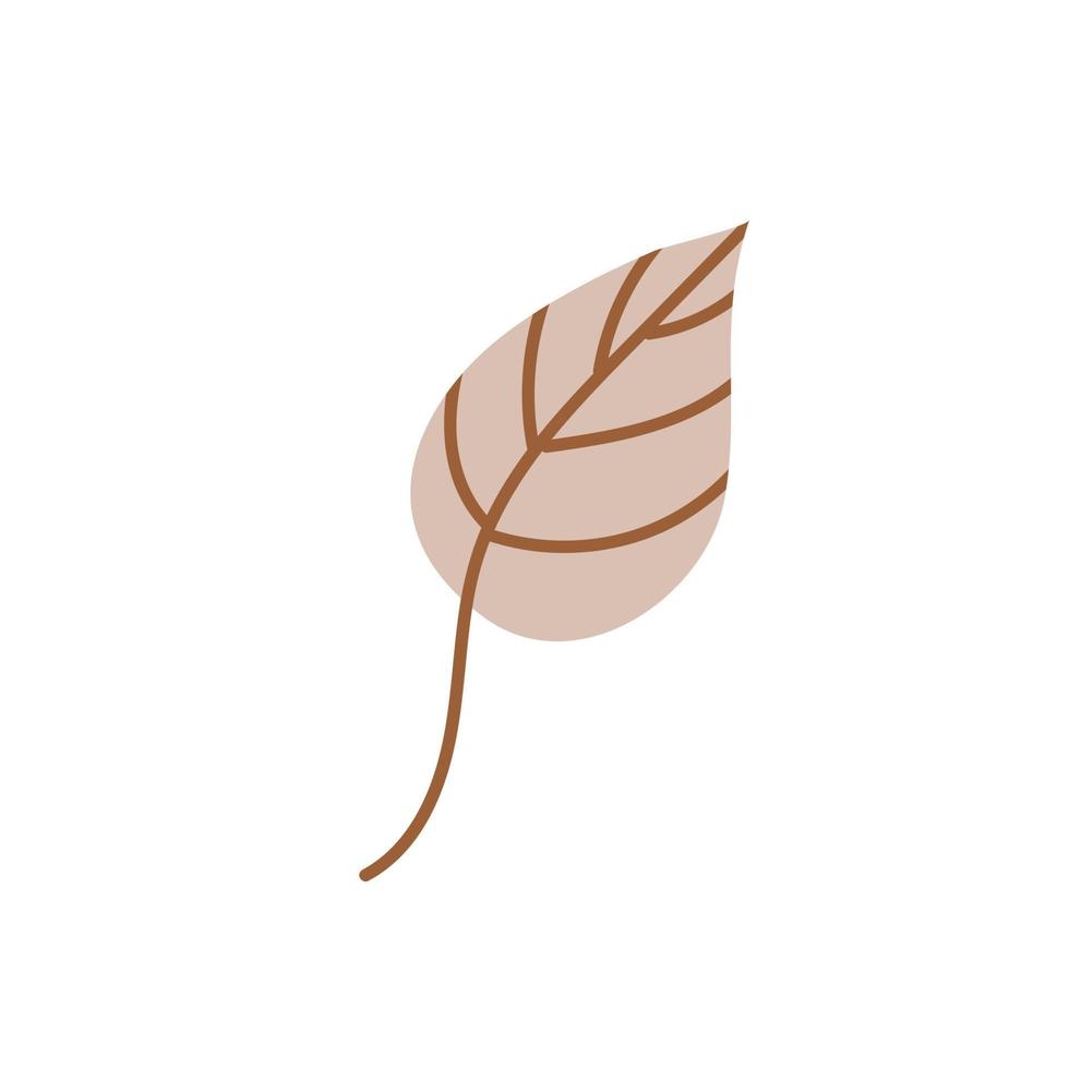 A fallen autumn leaf Vector illustration