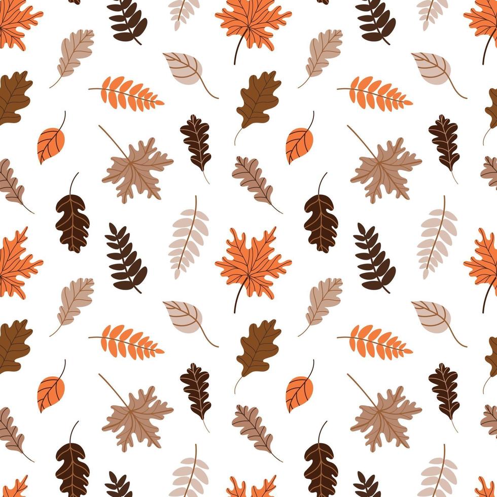 pattern with fallen leaves on a white background vector