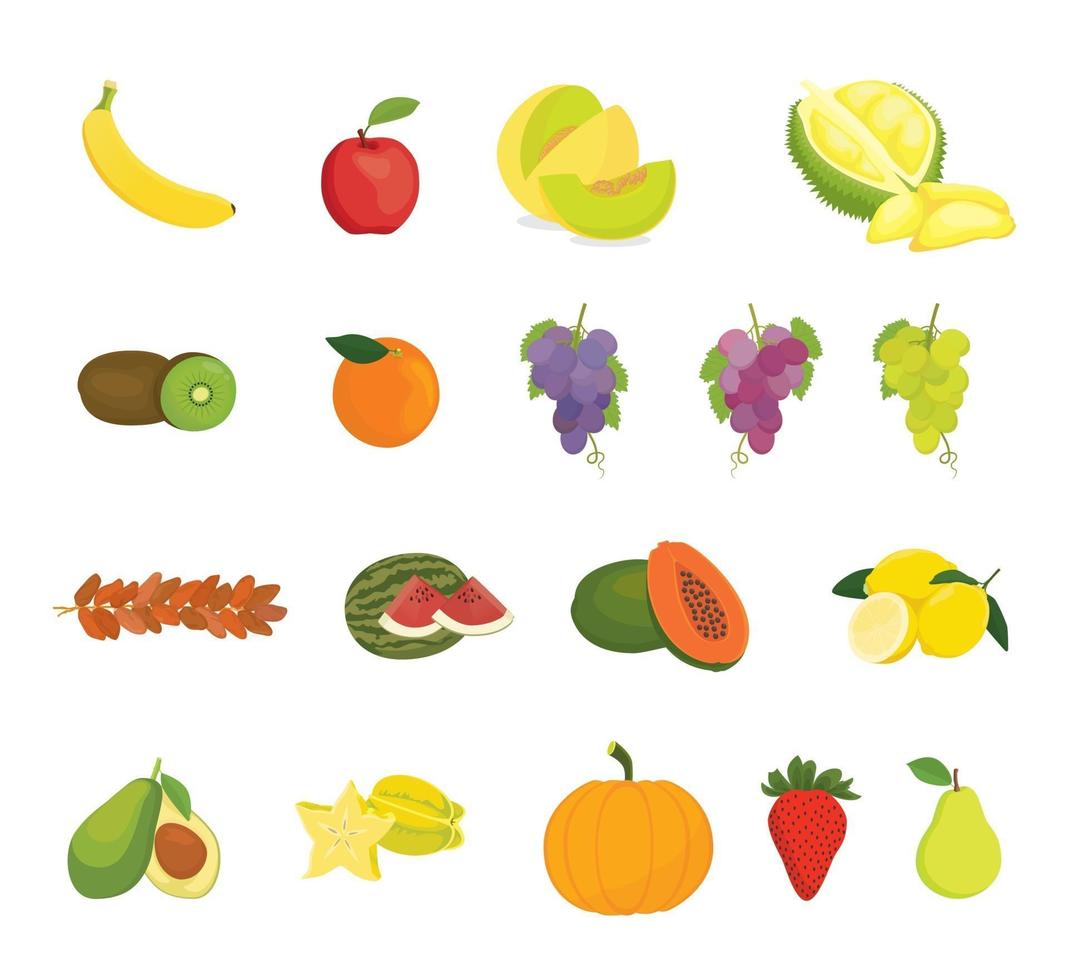 fruit collection with various kind of fruits and color variant vector