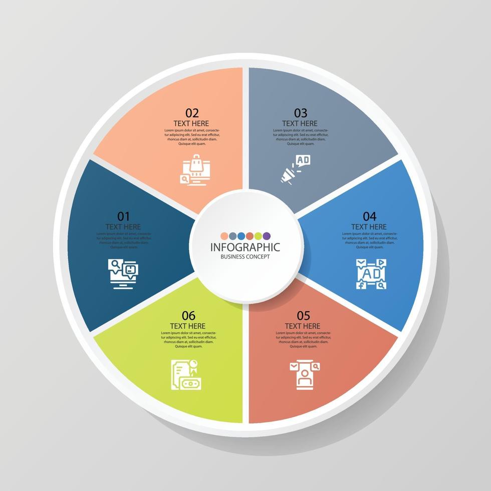 6 Step infographic vector