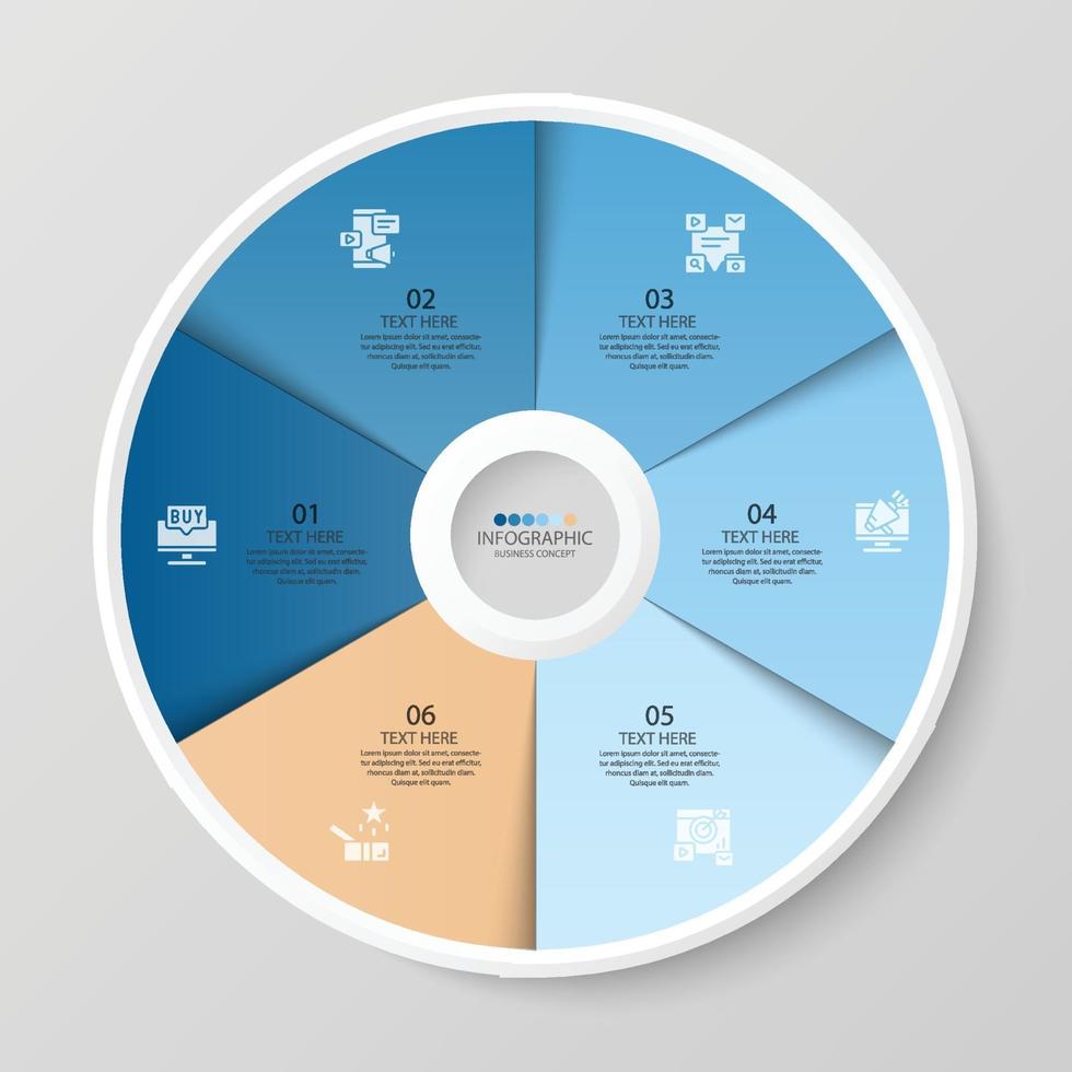 6 Step infographic vector