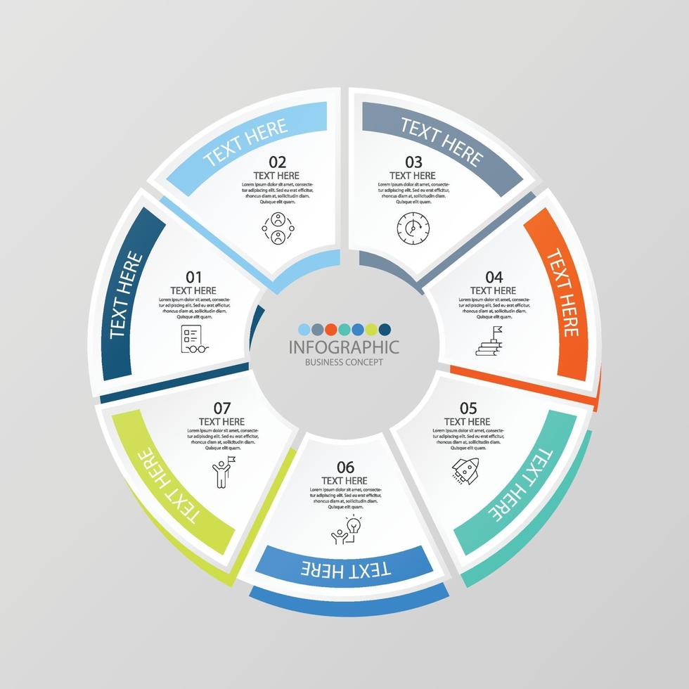 7 step infographic vector