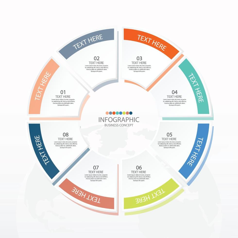 Infografía de 8 pasos vector