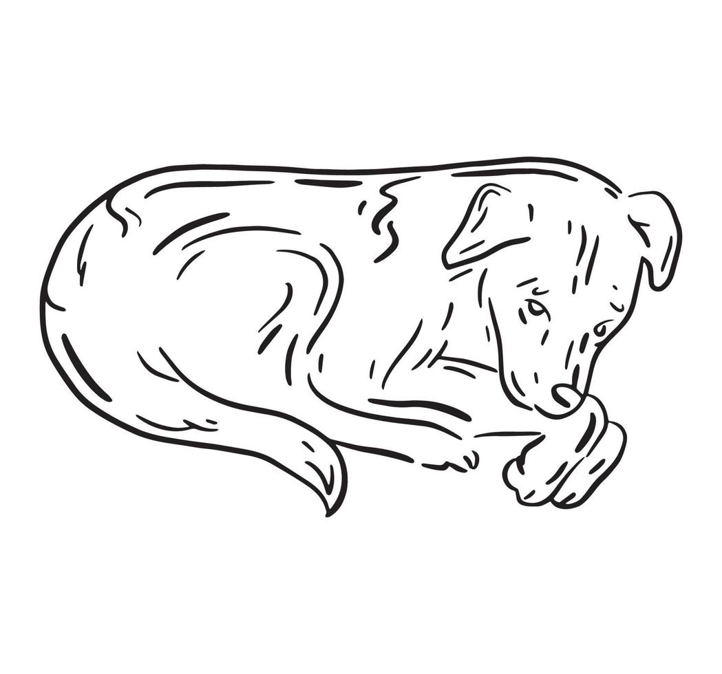 Abandoned sad stray dog lying on the street vector