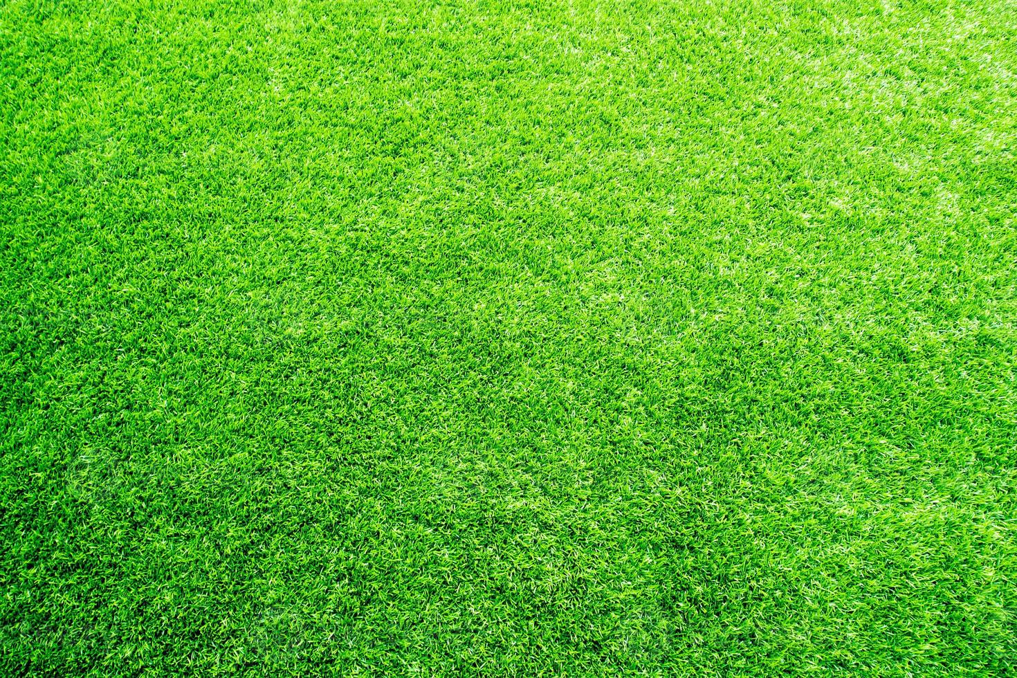 Texture of artificial grass and the rubber pellets on school yard photo