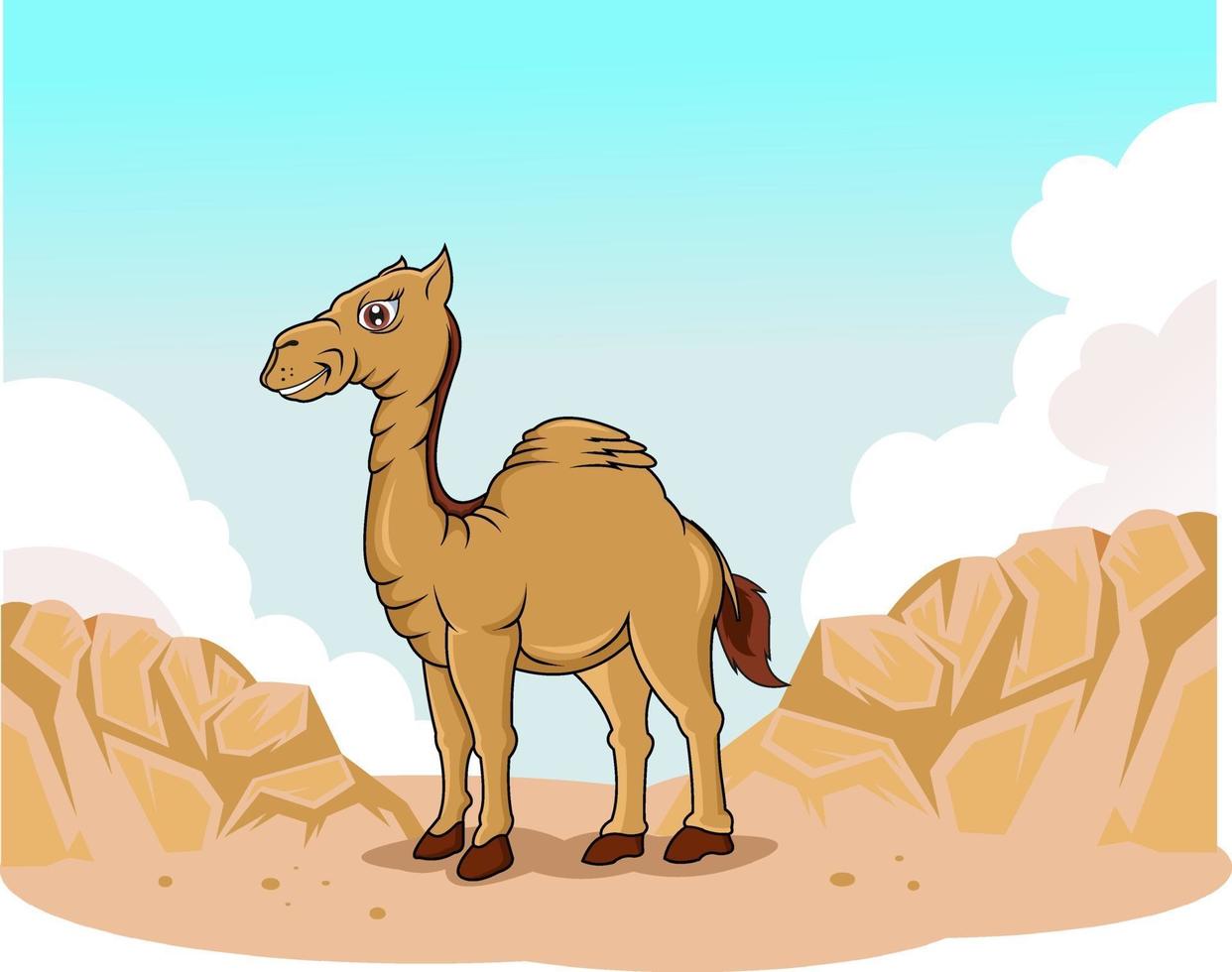 funny camel in the desert vector