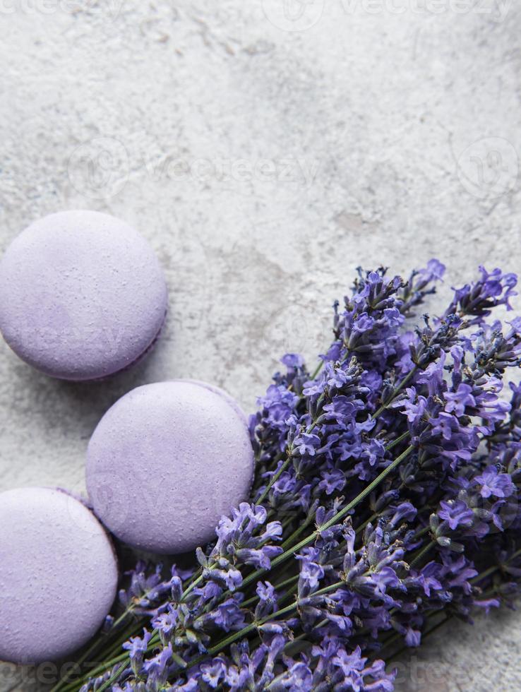 macarons franceses con sabor a lavanda y flores frescas de lavanda foto