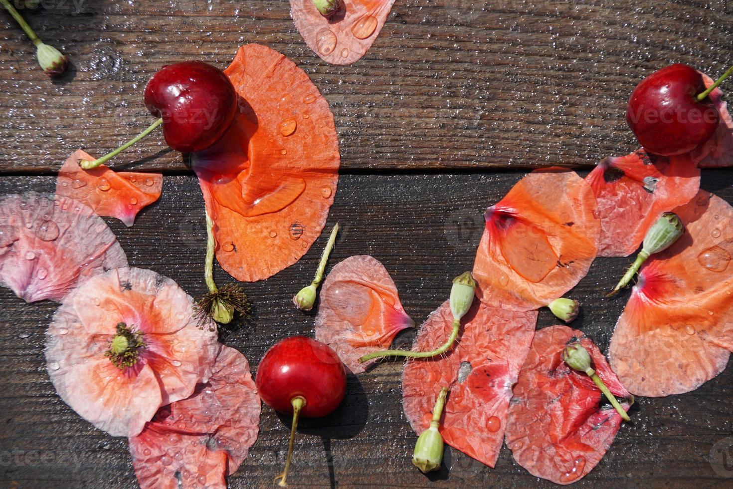 pétalos de amapola y cerezas foto