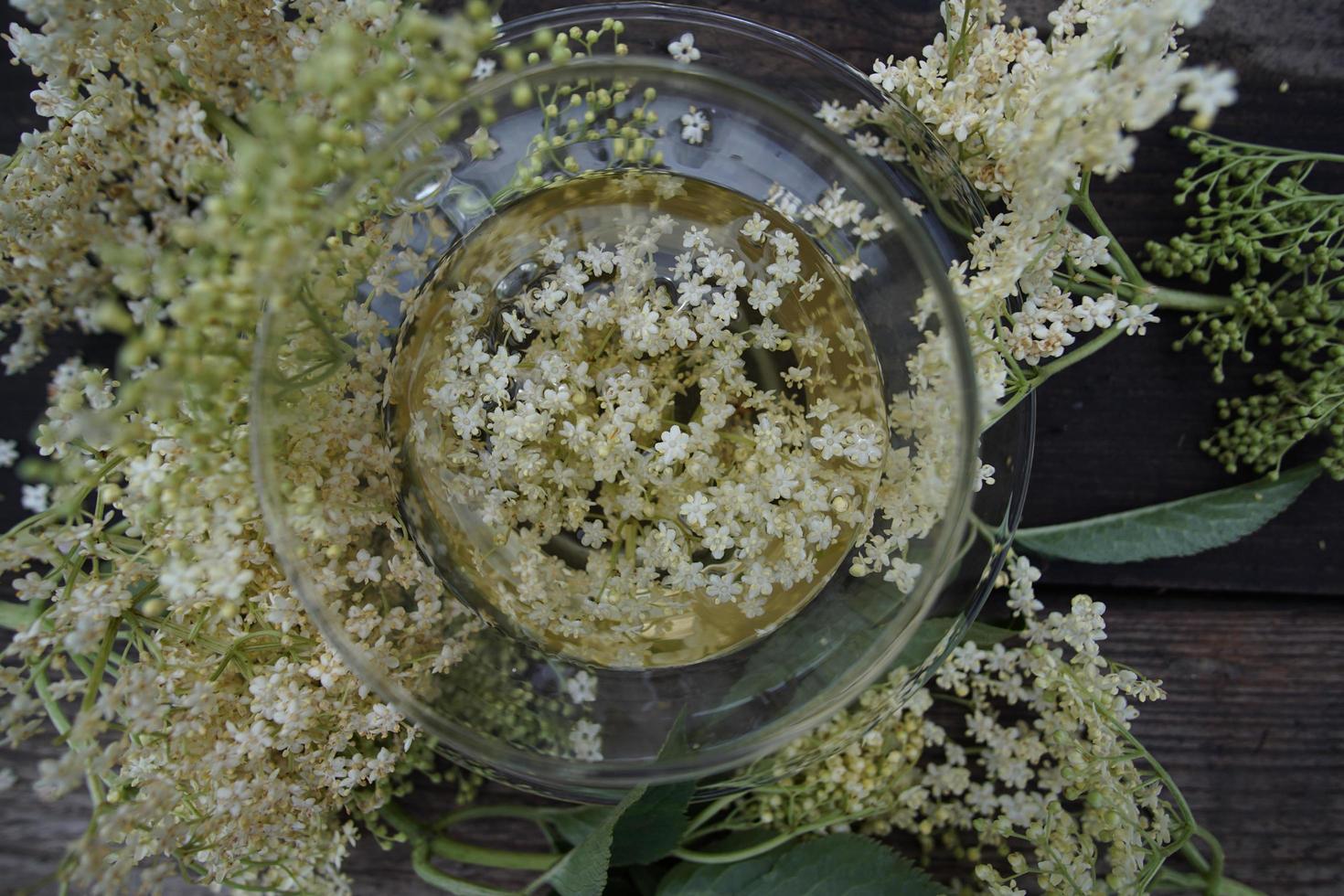 White elderflower tea photo