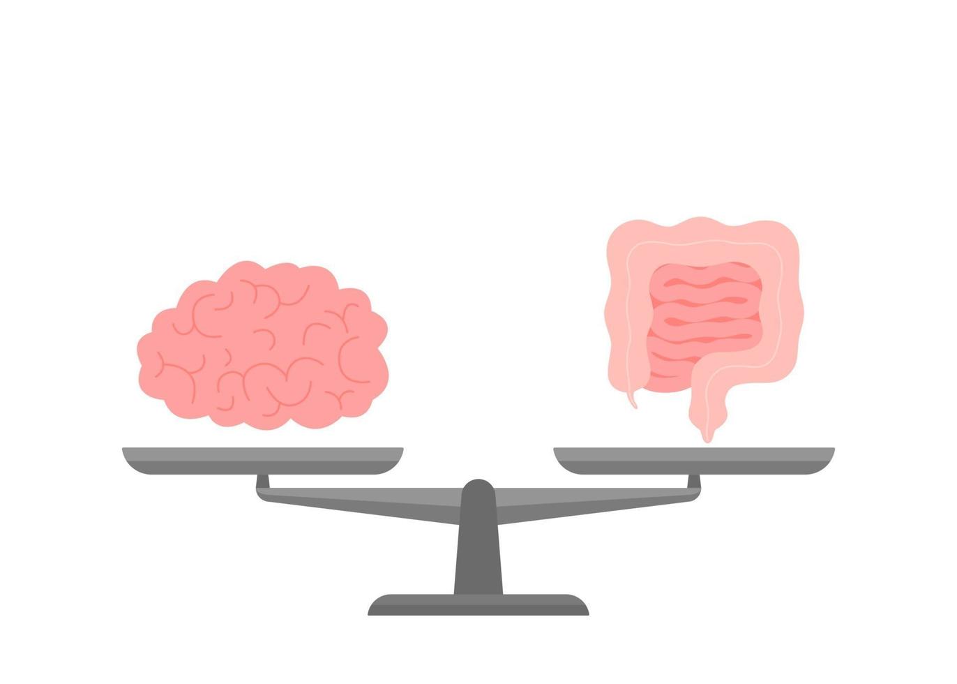 Connection and equality health of brain and intestine gut on scale vector