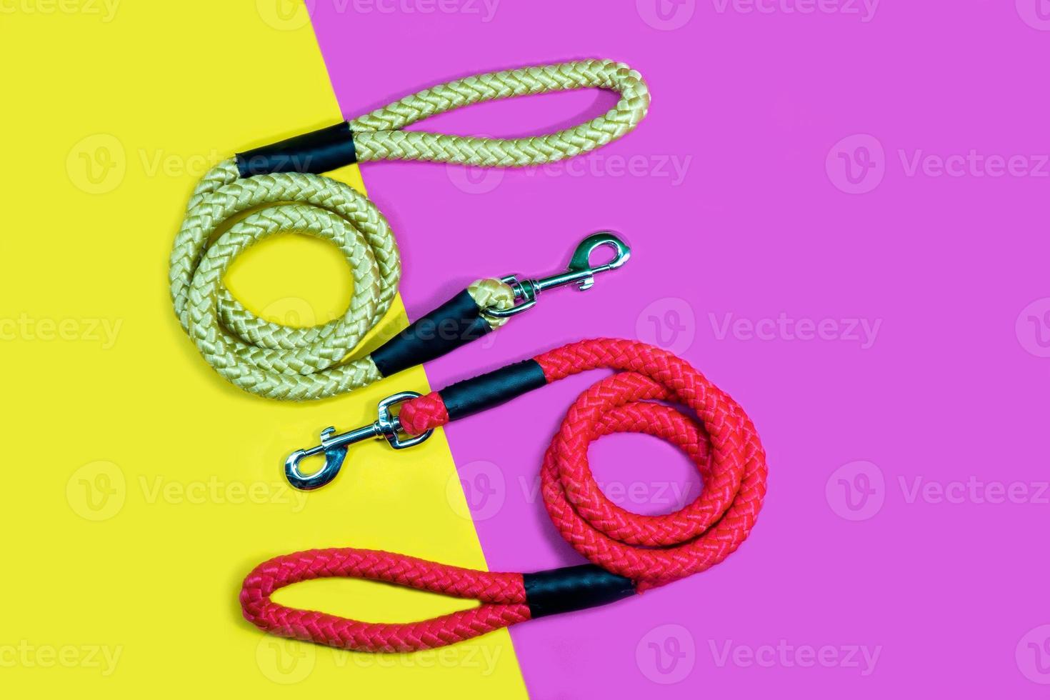 Dog leash on pink and yellow background.  Pet accessories concept. photo