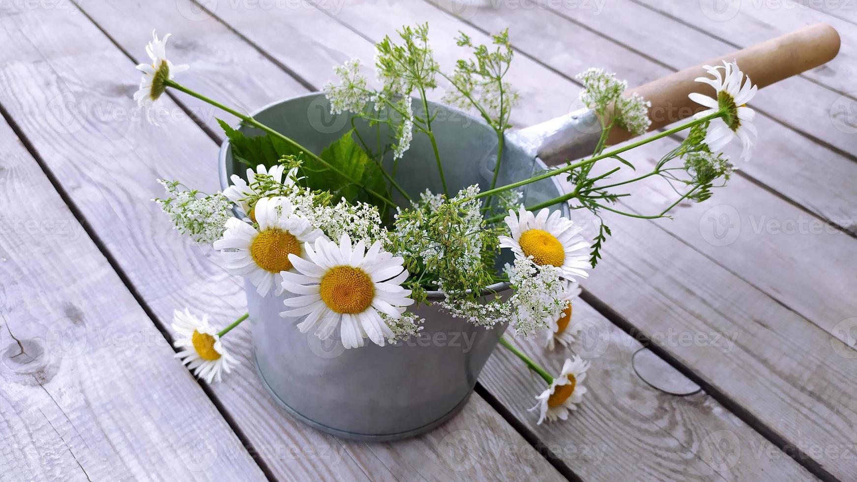 Metal bucket with a bouquet of daisies. Bath accessories photo