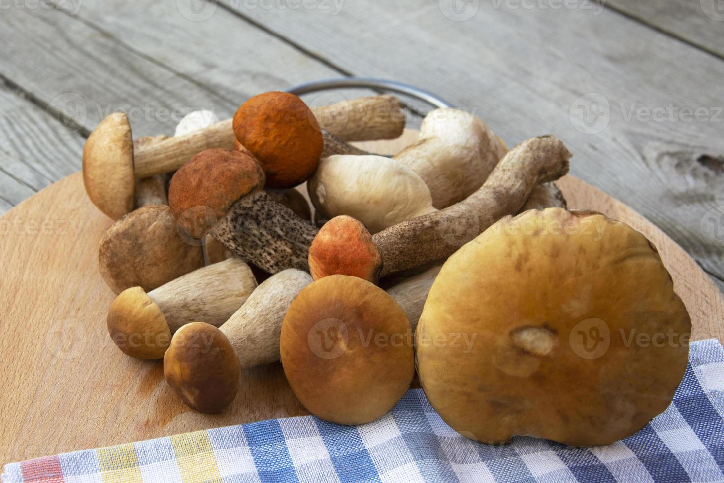 A bunch of mushrooms. Porcini mushrooms lie on a cutting board. photo