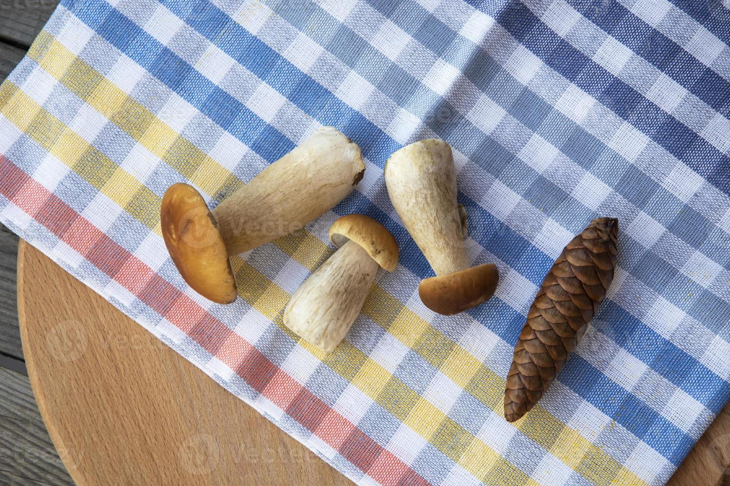 hongos comestibles en una tabla de cortar. hongos porcini foto