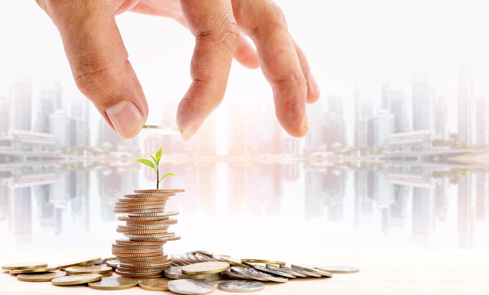 Put a coin on a pile of coins with a small tree on top. photo