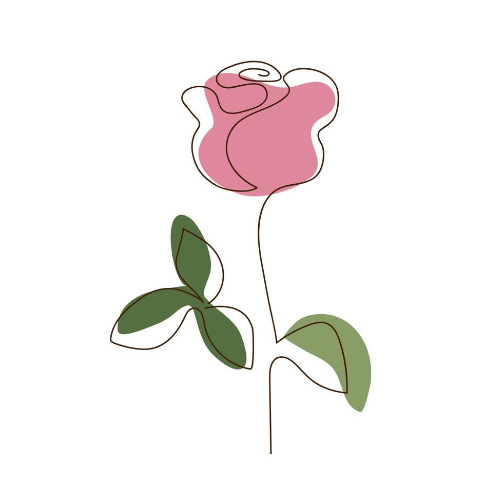 Hand drawn rose, line art. vector