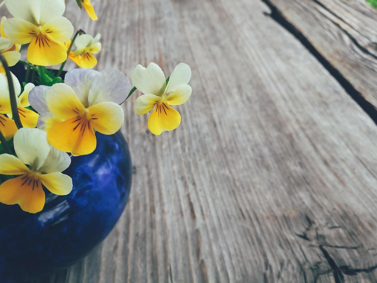 Yellow kiss-me-quick flowers in blue ceramic cup, on wooden veranda background. Still life in rustic style. Close up view. Summer or spring in garden, countryside lifestyle concept. Copy space photo