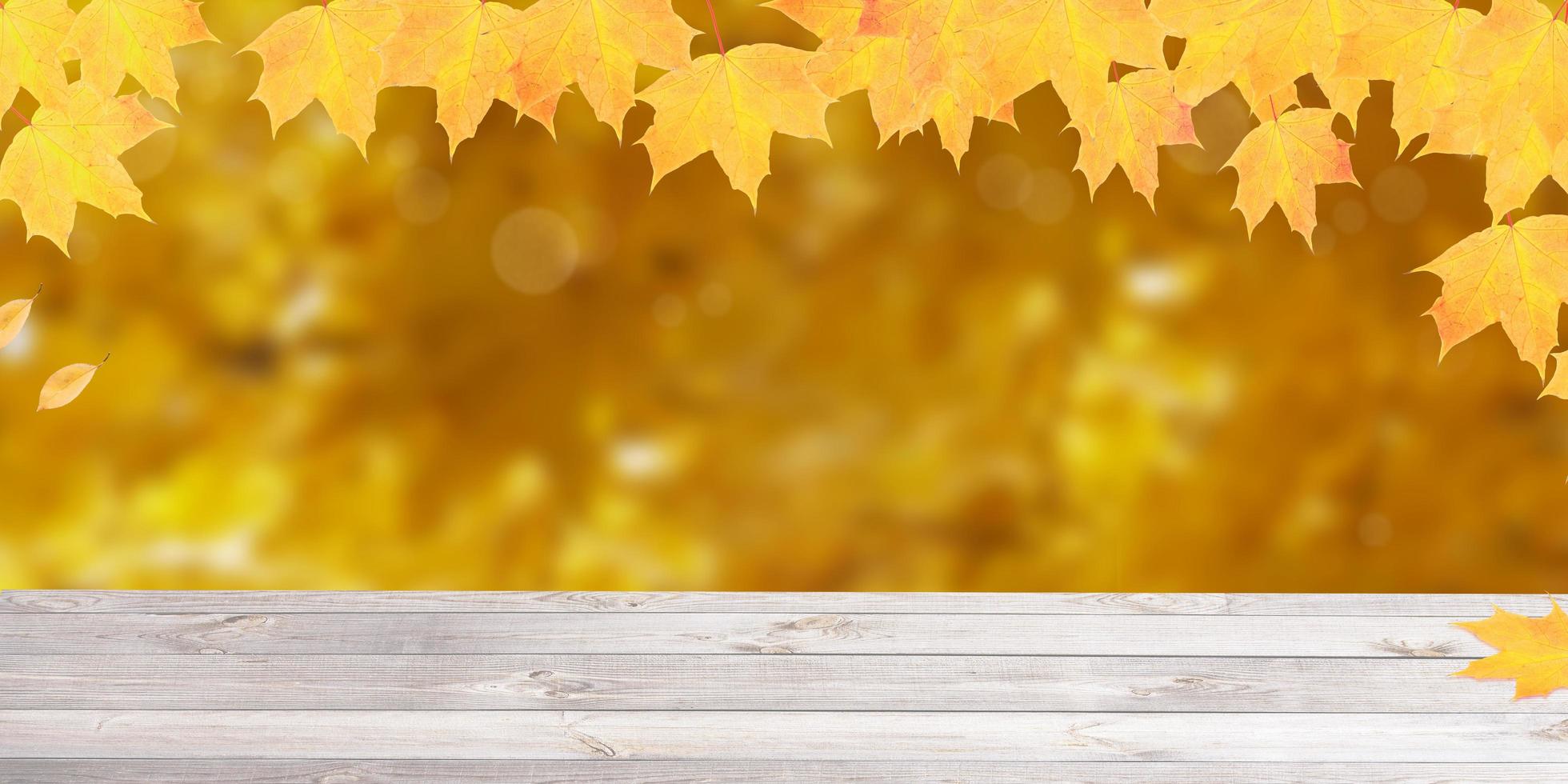 Autumn leaves background with copy space photo