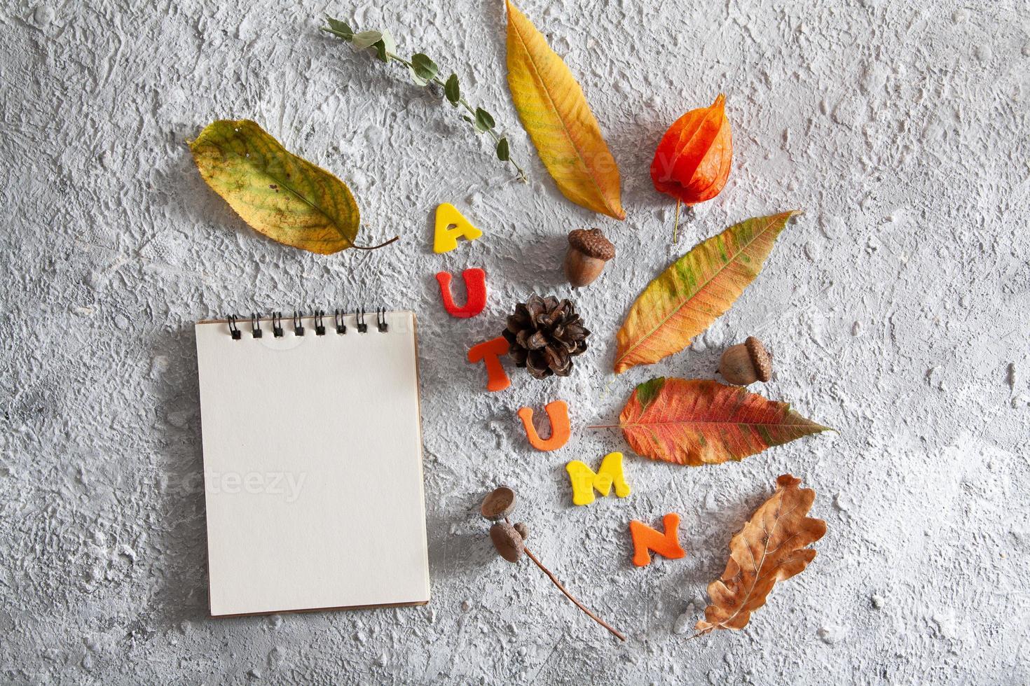 Blank notepad for text and autumn flat lay layout photo