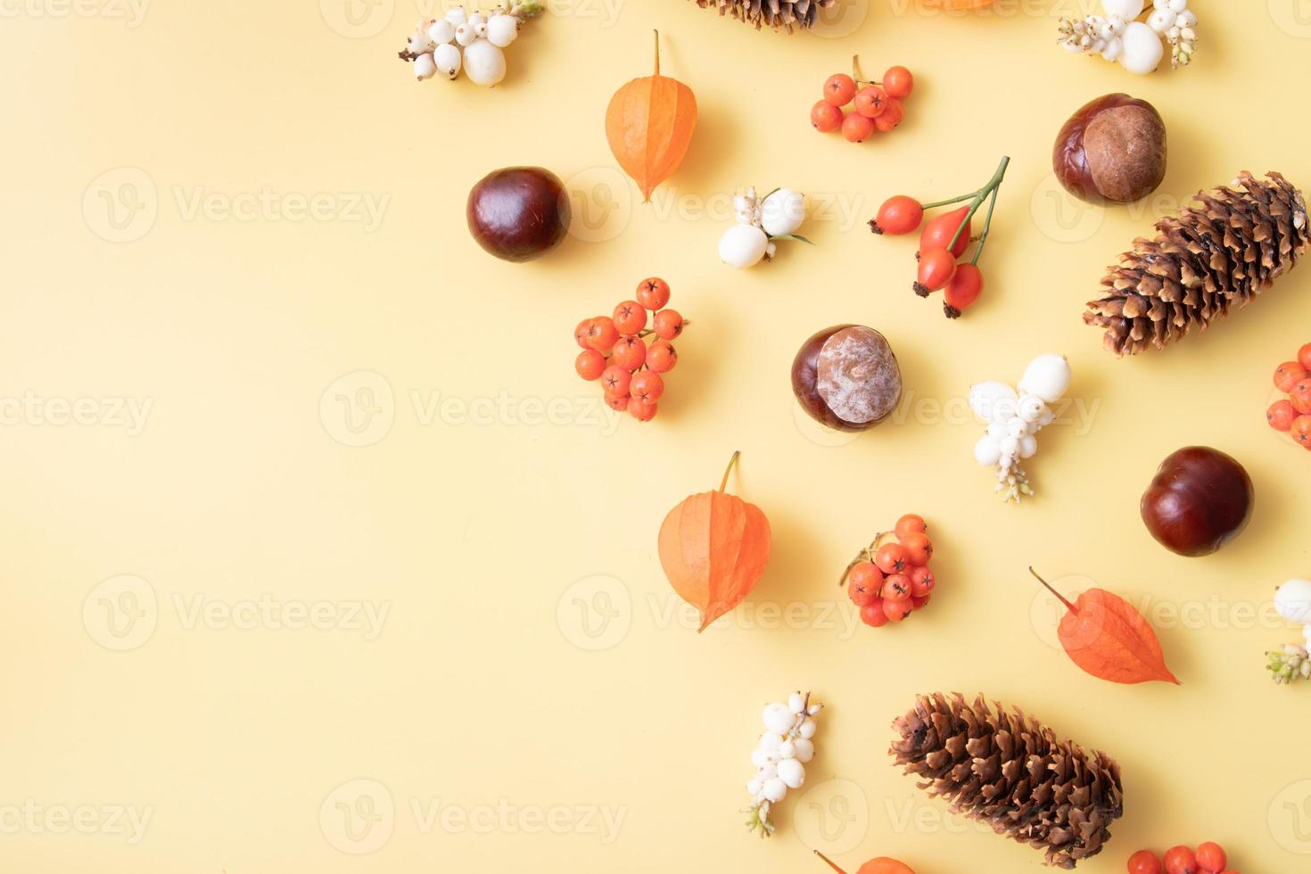 plano de naturaleza otoñal con espacio de copia foto