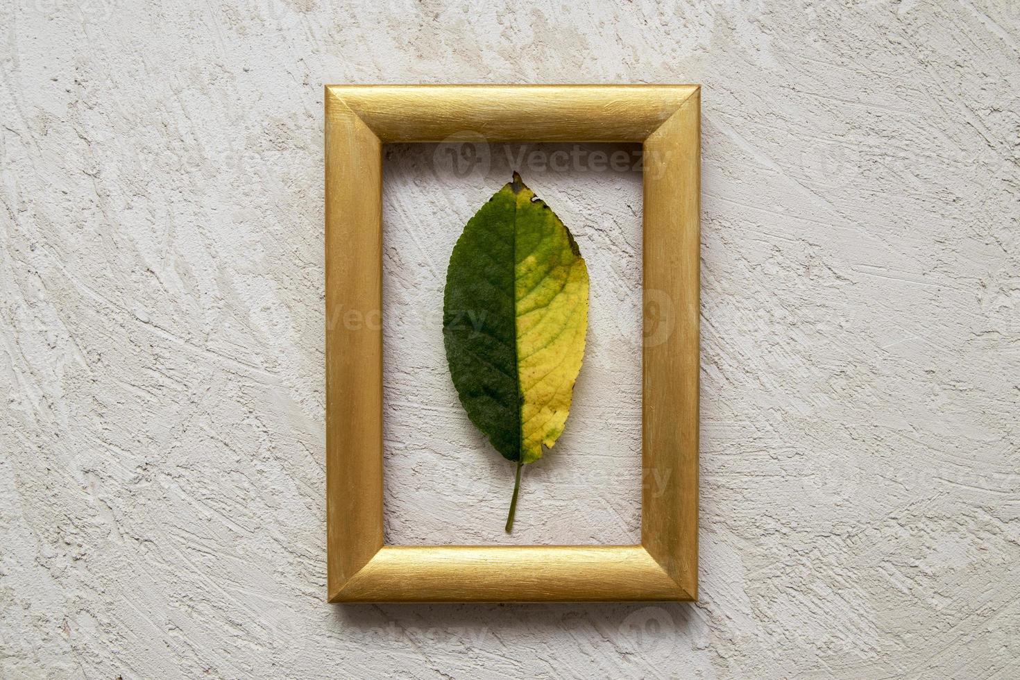 Yellow-green fallen leaf in a gold photo frame