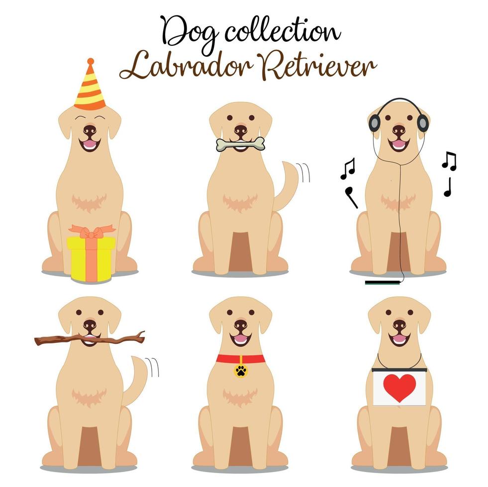 Set of cute dogs doing different activities vector