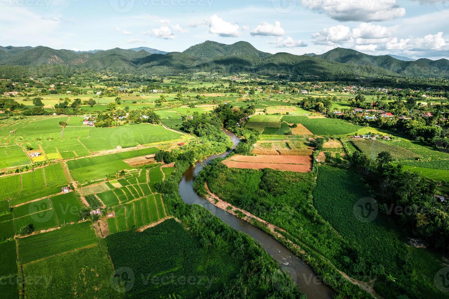 Landscape Paddy rice field in Asia, aerial view of rice fields photo