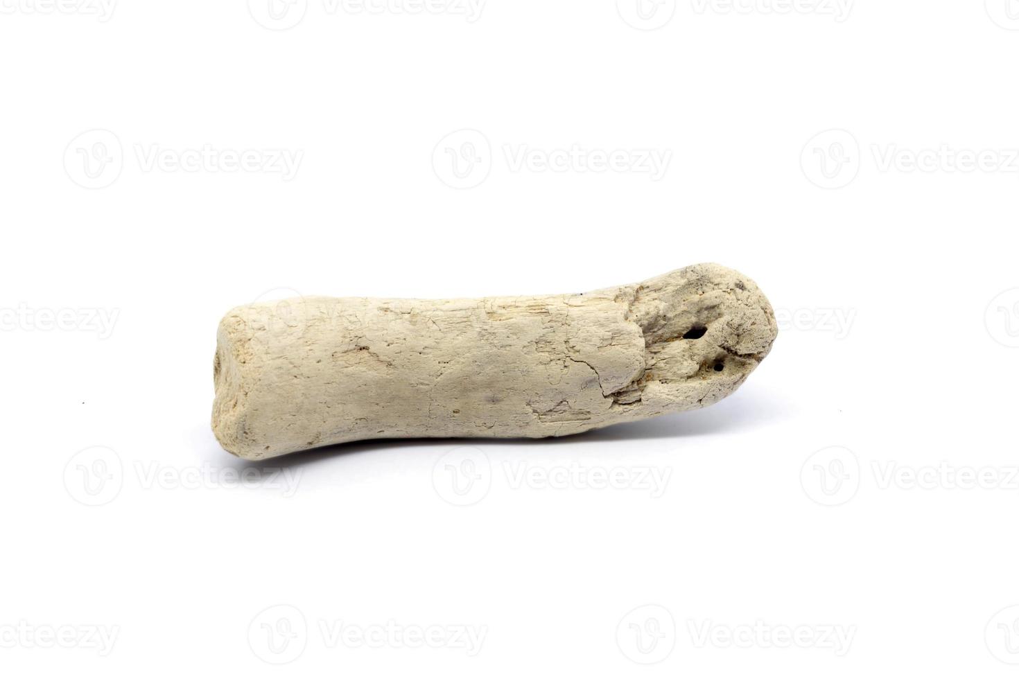Bone artifact isolated on white background photo