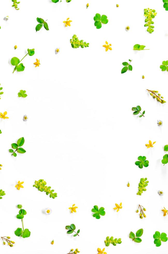 marco de hojas verdes y flores sobre fondo blanco y espacio libre. foto